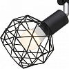 Спот Arte Lamp Sospiro A6141PL-1BK 100_100_1821418