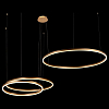 Подвесной светильник Loft it Ring 10017/3L 100_100_1845774
