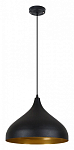 Подвесной светильник Arte Lamp Carmel A7076SP-1BK 250_100_2125363