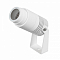 Настенно-потолочный прожектор Arlight RAY 042676(1)
