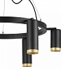 Подвесная люстра Lightstar Rullo LR01637387340 100_100_1718171