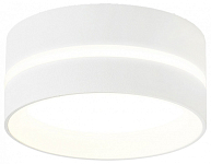 Накладной светильник Ambrella Light TN TN5388 250_100_Array