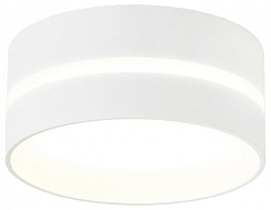Накладной светильник Ambrella Light TN TN5388 500_191_3235912