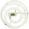Модуль светодиодный Apeyron Electrics  02-33 100_100_2304887