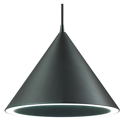 Подвесной светильник Lumion Lenny 3724/24L 400_400_2461604