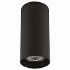 Накладной светильник Lightstar Rullo 214487 100_100_2448307