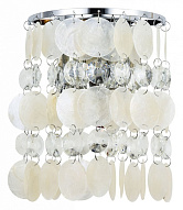 Накладной светильник Arte Lamp Pipirima A4041AP-2CC 500_191_2444329