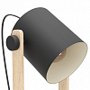 Торшер Eglo HORNWOOD 43521 100_100_522668