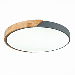 SLE200972-01 Светильник потолочный Серый, Светлое дерево/Белый LED 1*45W 3000K/4000K/6000K ФЕСТА 250_100_2954720