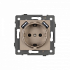 Розетка с заземлением и 2хUSB type A, без рамки Arlight SCT 049821 100_100_681318