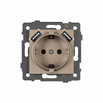 Розетка с заземлением и 2хUSB type A, без рамки Arlight SCT 049821 250_100_681318