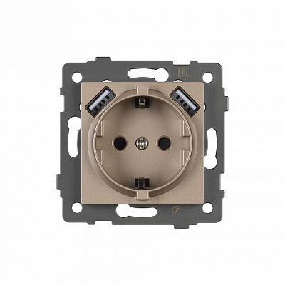 Розетка с заземлением и 2хUSB type A, без рамки Arlight SCT 049821 400_400_681318