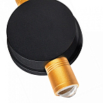 Накладной светильник Lightstar Dito 380623 250_100_1720751