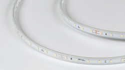 Лента светодиодная DesignLed DSG360 00-00003110 250_100_3101264