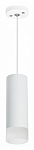 Подвесной светильник Lightstar Rullo RP48631 250_100_3087659