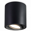 Накладной светильник Ambrella Light TN TN22702 100_100_2016809