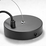 Подвесной светильник Lussole LSP-8146 250_100_1734143