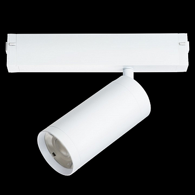 Светильник на штанге Lightstar Teta 205036 400_400_1719273