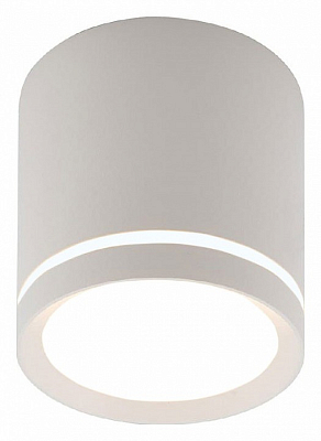 Накладной светильник Denkirs DK401 DK4013-WH 400_400_1913092