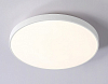Накладной светильник Ambrella Light FZ FZ1220 100_100_2019998