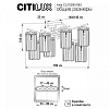 Потолочная люстра Citilux AXIS CL313283 100_100_1693025