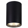 Накладной светильник Ambrella Light TN TN213102 100_100_2016782