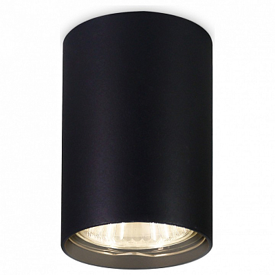 Накладной светильник Ambrella Light TN TN213102 400_400_2016782