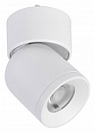 Светильник на штанге Favourite Unika 4150-1U 250_100_Array
