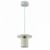 Подвесной светильник LIGHTERA Onitsha LE144L-21W 100_100_2050528