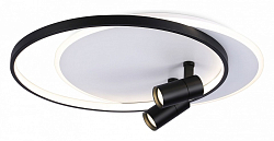 Накладной светильник Ambrella Light FL FL51392 250_100_Array