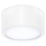 Накладной светильник Lightstar Zolla 213916 250_100_Array