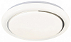 Накладной светильник Escada  10227/S LED APP 100_100_3122163