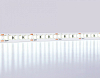 Лента светодиодная Ambrella Light GS GS3203 100_100_2024891