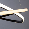 Подвесной светильник Arte Lamp Swing A2522SP-2BK 100_100_1821491