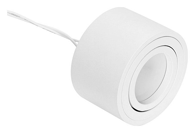 Накладной светильник Ambrella Light TN TN222 400_400_2001986