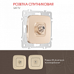 ТВ-розетка без рамки Arte Milano am-205 205.42-1.shampan 250_100_2167052