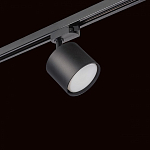 Светильник на штанге Lightstar Rullo R1T3487 250_100_1717950