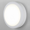 Накладной светильник Elektrostandard Circle a048704 100_100_2240810
