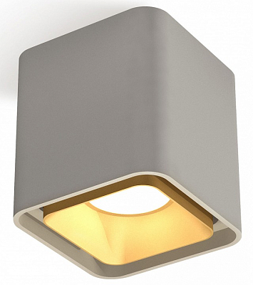 Накладной светильник Ambrella Light XS XS7842004 400_400_2443296