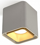 Накладной светильник Ambrella Light XS XS7842004 500_191_2443296