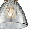 Подвесной светильник Lumion Mirabela 8050/1А 100_100_1865597