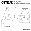 Подвесной светильник Citilux CLOUDY CL323262 100_100_2820287