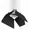Накладной светильник Lightstar Rullo R436437 100_100_1715167