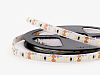 Лента светодиодная LEDS POWER LIGHT 002361 100_100_2441001