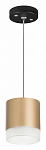 Подвесной светильник Lightstar Rullo RP349080 250_100_1717805