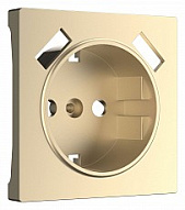 Накладка для розетки с заземлением и 2хUSB Werkel шампань W1179511 500_191_2261405