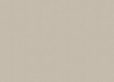A101117 Обои ARTSIMPLE (1*6) 10,00x1,06 винил на флизелине 400_400_2148189