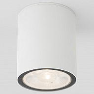 Накладной светильник Elektrostandard Light LED a056230 500_191_2241168