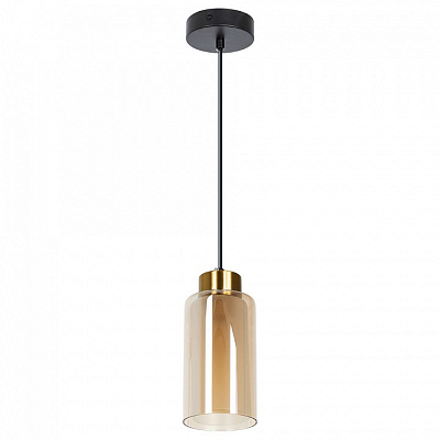 Подвесной светильник Arte Lamp Leo A7027SP-1BK 400_400_2170948