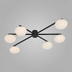 Потолочная люстра Eurosvet Opaline 70220/6 черный 250_100_Array